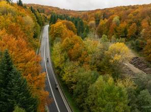 <p><strong>Tytuł projektu:</strong> Łączymy pogranicze Karpat Wschodnich / Sp&aacute;jame pohraničie V&yacute;chodn&yacute;ch Karp&aacute;t<br />
<strong>Numer projektu:</strong> PLSK.02.01-IP.01-0021/23<br />
<strong>Program: </strong>Interreg Polska-Słowacja 2021-2027<br />
<strong>Priorytet:</strong> Lepiej połączone Pogranicze<br />
<strong>Działanie: </strong>Rozw&oacute;j i udoskonalanie zr&oacute;wnoważonej, odpornej na zmiany klimatu, inteligentnej i intermodalnej mobilności na poziomie krajowym, regionalnym i lokalnym, w tym poprawa dostępu do TEN-T oraz mobilności transgranicznej<br />
<strong>Beneficjent: </strong>Wojew&oacute;dztwo Podkarpackie<br />
<strong>Partner wiodący: </strong><a href="http://www.sucpsk.sk">Spr&aacute;va a &uacute;držba ciest Pre&scaron;ovsk&eacute;ho samospr&aacute;vneho kraja</a><br />
<strong>Wydatki og&oacute;łem:</strong> 4 982 466,77 EUR<br />
<strong>Dofinansowanie UE: </strong>3 948 156,37 EUR<br />
<strong>Data rozpoczęcia: </strong>2024-04-01<br />
<strong>Data zakończenia:</strong> 2026-03-31</p>
